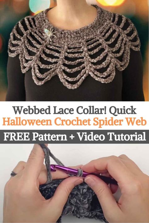 Crochet Spiderweb, Free Crochet Halloween, Crochet For Halloween, Crochet Spider Web, Crocheted Halloween, Crochet Halloween Patterns, Crochet Spider, Halloween Collar, Lace Capelet