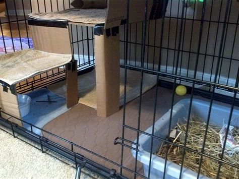 Dog crate rabbit home | BinkyBunny Xl Dog Crate, Indoor Rabbit Cage, Rabbit Information, Diy Rabbit Hutch, Rabbit Home, Rabbit Stuff, Rabbit Ideas, C&c Cage, I Am Home