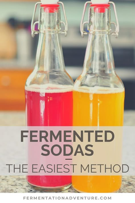 Ginger Fermented Drink, Fermented Soda Recipes, Diy Probiotic Soda, Probiotic Soda Recipe, Gingerbug Soda Recipes, Natural Soda Recipe, Prebiotic Soda Recipe, Gingerbug Soda, Fermented Drinks Recipes