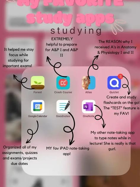 Lemon8 · Best Apps For Studying Anatomy and Physiology 🫀 · @Schiann_ Study Physiology, Biology Help Apps, Apps For Chemistry, Study Tips For Anatomy, Medical School Apps, Best Apps For Nursing Students, Website For Anatomy, Biology Apps, Med School Application