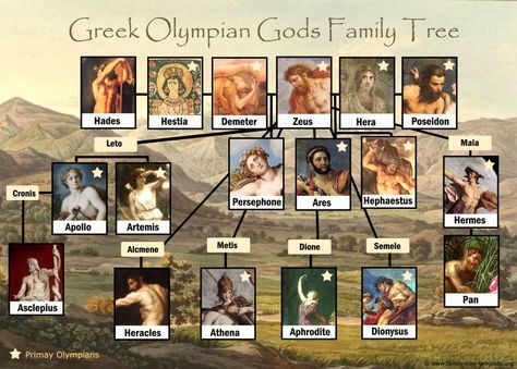 Greek God Family Tree: Free and Printable Greek Gods Family Tree, Tree Worksheet, Greek Mythology Family Tree, Family Tree Drawing, Genealogy Templates, Family Tree Worksheet, Olympian Gods, Family Tree Printable, Greece Mythology