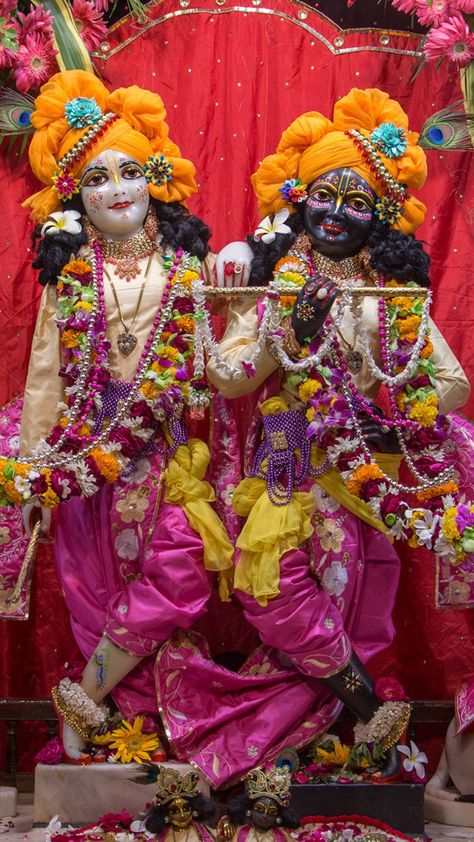 Krishna Balaram Vrindavan, Krishna Balram Iskcon Vrindavan, Krishna Balram Images, Krishna Balram, Deity Worship, Krishna Balaram, Iskcon Vrindavan, Good Morning Krishna, Iskcon Krishna