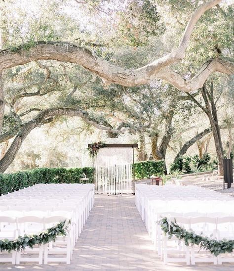 Beautiful Castles, Ceremony Location, Oak Tree, Hidden Treasures, Vintage Beauty, Crystal Chandelier, Shout Out, Wedding Flowers, Lawn