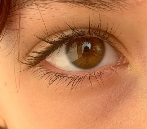 Gingers With Brown Eyes, Greenish Brown Eyes, Caramel Eyes, Brown Eye Aesthetic, Bright Brown Eyes, Pretty Brown Eyes Aesthetic, Light Brown Eyes Aesthetic, Honey Brown Eyes, Light Brown Eyes