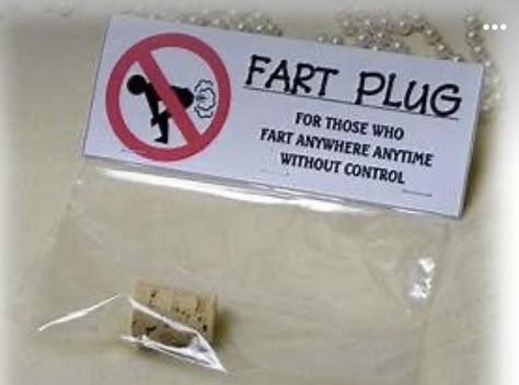 Diy Gag Gifts, Funny Christmas Images, Christmas Gag Gifts, Christmas Pranks, Funny Christmas Jokes, Gag Gift Ideas, Elephant Gift Ideas, Funny Xmas Gifts, Silly Gifts