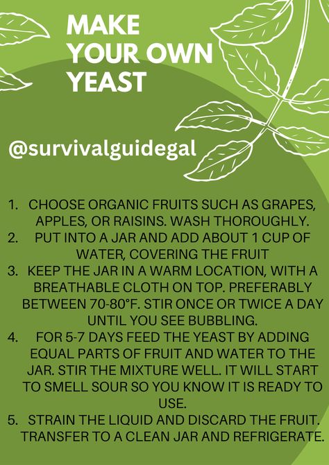 How To Make Nutritional Yeast At Home, How To Make Yeast At Home, How To Make Yeast, Yeast Substitute, Healthy Subs, Homesteading Hacks, How To Make Mead, Sourdough Bread Starter, Homemade Sourdough Bread