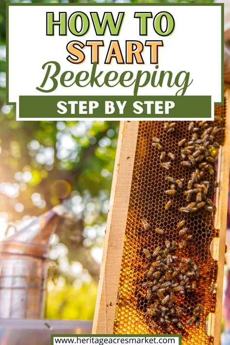 Diy Bee Keeping, How To Start Raising Honey Bees, How To Become A Bee Keeper, How To Start A Bee Farm, Bee Hives Diy How To Build, How To Start A Bee Hive Beekeeping For Beginners, How To Raise Bees, How To Bee Keep, Honey Bee Setup