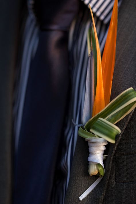 Bird of Paradise Groom Boutonniere | Navy Blue | Groom Outfit Bird Of Paradise Boutonniere, Navy Blue Groom, Blue Groom, Macaw Bird, Tropical Florals, Bird Wedding, Groom Boutonniere, Bouquet Ideas, Plan My Wedding