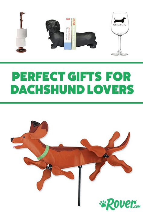 Daushound Gifts, Winnie Dogs, Weiner Dog Humor, Dachshund Mini, Dachshund Birthday, Dachshund Decor, Dachshund Stuff, Dog Birthday Gift, Baby Dachshund