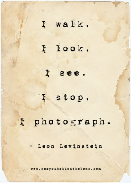 Photography Quotes to Live By: See You Behind the Lens... I walk. I see. I stop. I photograph. Photography Quotes Passion, Photography Quotes Funny, Quotes Passion, Camera Quotes, Photographer Quotes, Photography Quotes, Photography Words, Quotes About Photography, Top Quotes