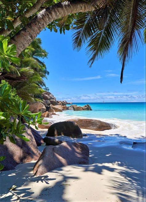 Praslin Seychelles, Anchor Symbol, Seychelles Islands, Background Photos, Romantic Destinations, Beach Wallpaper, Beautiful Locations Nature, Ocean Water, Porto Portugal