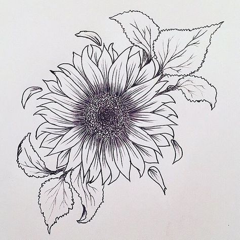 Sunflower tattoo. Really liking this. Sleeves Tattoos, Tattoos Sunflower, Tattoo Placements, Tattoo Dotwork, Kunst Tattoos, Tattoos Men, Sunflower Drawing, Tattoo Sleeves, Board Designs