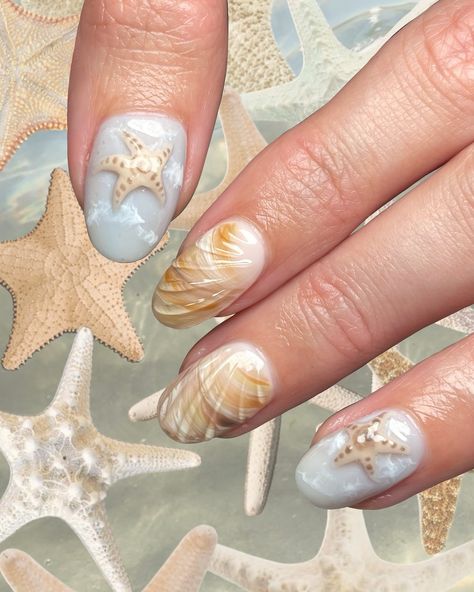 Brb I have to reorder my fave 10 set of nails after creating this set for Zoë🌊🥥🐋🍦💫 3D star fish sitting on sea foam and nails that look like sea shells 🐚 the colour, the vibes, the everything! I loved creating these 🥹 💅🏼Medium Structured Mani 🎨Intermediate Nail Art ⏱️2hrs 30 Using @lolaleebeautynz_aus from @belushnz_aus • • • #oceannails #seanails #mermaidnails #holidaynails #oceanvibes #oceanaesthetic #3dnailart #hawkesbay #hawkesbayartist #hawkesbaynailartist #hastings #napiercity #havelo... Sea Star Nails, Sea Foam Nails, Star Fish Nails, Starfish Nails, Fish Nails, Sea Nails, 3d Star, Mermaid Nails, Star Fish