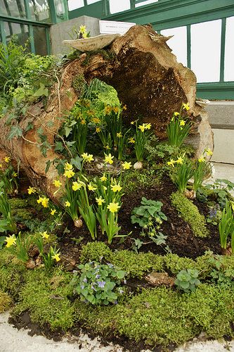 Log With Flowers, Logs In Garden Ideas, Stump Garden Ideas, Stumpery Ideas, Log Planter Ideas, Log Garden, Log Planter, Small Yard Landscaping, Garden Wood