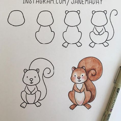 Jane Maday on Instagram: “Who wants to draw a squirrel? I have posted a video of this on my Facebook page Jane Maday Studio: Creative Bliss. Would love to know what…” Step By Step Squirrel Drawing, Squrriel Drawing For Kids, Squirrel Doodle Easy, Squirrel Doodle Cute, Draw Squirrel Easy, How To Paint A Squirrel, How To Draw A Squirrel Easy, Cartoon Squirrel Drawing Easy, Drawing A Squirrel