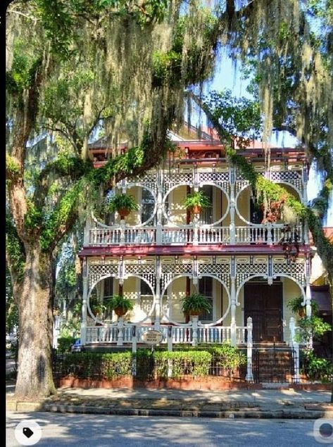 Louisiana french Victorian Victorian Homes Aesthetic, Victorian Homes In California, Victorian Beach House, Louisiana Victorian Homes, Louisiana Gothic Aesthetic, Louisiana House, Sf Victorian Houses, Painted Lady House, Styl Grunge