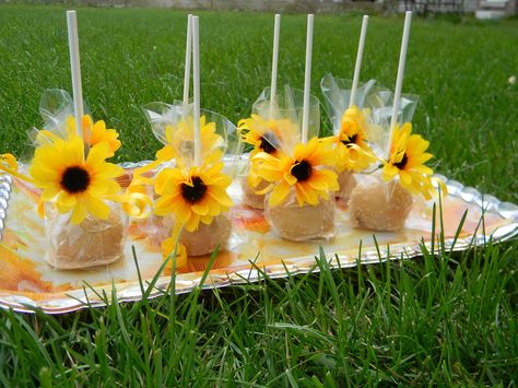 cake pops Sunflower Cake For 1st Birthday, Sunflower Cakepops, Apple Donut Holes, Peanut Butter Cake Pops, Apple Donut, Sunflower Birthday Parties, Maple Icing, Cake Pop Bouquet, Chocolate Party Favors