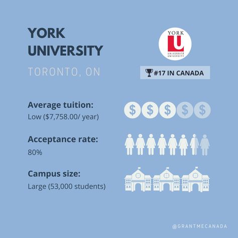 Osgoode Hall Law School, York University Toronto, Usa University, Education Facts, Birthday Goals, Presentation Cards, York University, University Of Toronto, Toronto Ontario