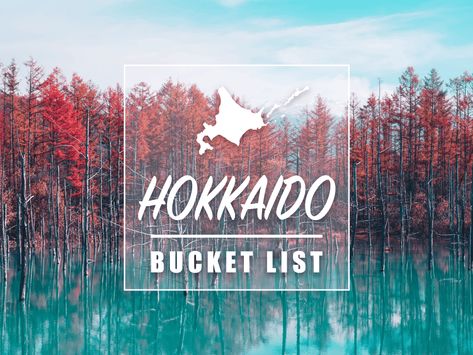 20 Best Things to Do in HOKKAIDO: Hokkaido Bucket List Hokkaido Winter, Sapporo Snow Festival, Asahiyama Zoo, Snow Festival, Japan Autumn, Harbor City, Snow Activities, Best Ski Resorts, Hokkaido Japan