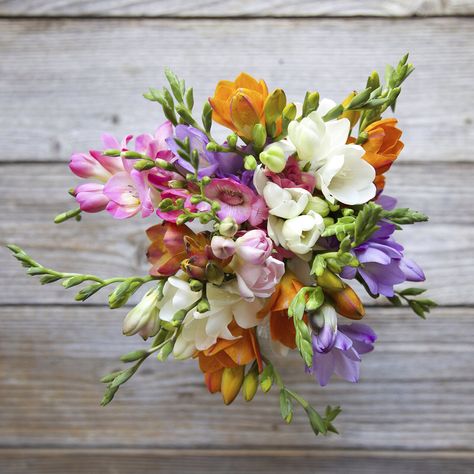 Freesia Bouquet, Freesia Flowers, Send Flowers Online, Very Beautiful Flowers, Flower Subscription, Flower Delivery Service, Colorful Bouquet, Flowers Delivered, Flowers Online