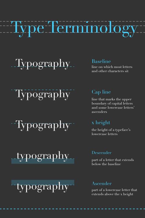 Typography Basics, Typography Terms, Type Anatomy, Student Reference, Type Classification, Design Fonts, Graphic Design Fonts, Graphic Design Tips, Typography Fonts