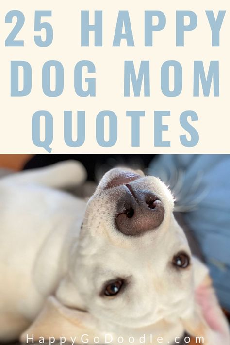 Get happy with these 25 feel-good dog mom quotes that we curated specifically with dog moms in mind. Each dog quote was chosen for its relevancy to living the dog mom lifestyle—from meaningful quotes about dog love to funny dog quotes. Give yourself a dog-loving smile and share one too! #dogmomquotes #dogquotes #cutedogquotes #meaningfuldogquotes I Love My Dog Quotes, Quotes About Dogs As Family, Love My Dog Quotes, Quotes About Dogs Love, Dog Owner Quotes, A Girl And Her Dog Quotes, Dog Birthday Quotes, Inspirational Cat Quotes, Short Dog Quotes