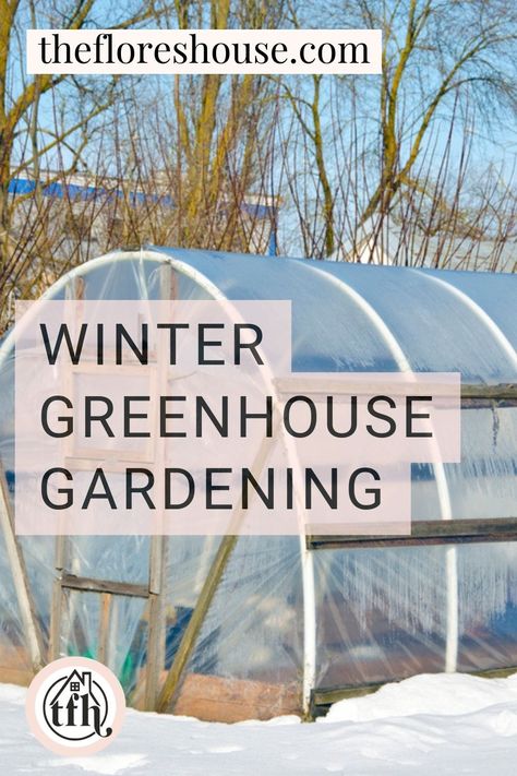 winter greenhouse gardening, winter greenhouse garden, winter greenhouse gardening cold weather, winter greenhouse gardening zone 6, greenhouse gardening in winter Greenhouse In Winter Snow, Diy Greenhouse For Winter, Heated Greenhouse Winter, Cozy Greenhouse, Greenhouse Backyard, Greenhouse Addition, Homestead Garden Layout, Cold Climate Gardening, Garden Shed Diy