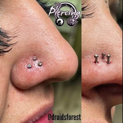 Triple Nose Piercing, Nose Piercings Ideas, Nose Accessories, Triangle Nose, Frog Eyes, Double Nose Ring, Double Nose Piercing, Nose Ring Jewelry, Nostril Piercing