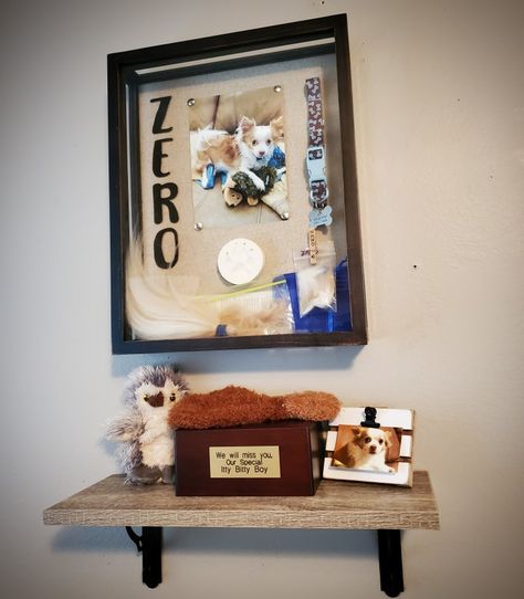 Memorial shadow box and shelf I made for my late dog Zero. Memorial Display Ideas For Home Dog, Memorial Shelf Display Living Rooms, Dog Memorial Shelf, Memorial Shelf Display For Urn, Dog Shrine Ideas, Cat Memorial Shadow Box Ideas, Pet Memorial Shelf, Pet Loss Memorial Ideas, Memorial Shrine Ideas