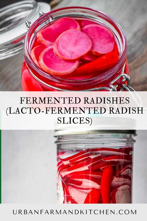 This recipe for Fermented Radishes is a great way to start your fermentation journey. Whether you are a beginner or an expert fermenter, this recipe breaks down everything you need to know from equipment to fermenting safety. All you need are a few simple and fresh ingredients as well as time to make this lacto-fermented radish recipe. Pickle Radishes, Radish Recipe, Quick Pickled Radishes, Pickled Radish, Homestead Recipes, Pickled Shallots, Watermelon Radish, Quick Pickled, Radish Recipes