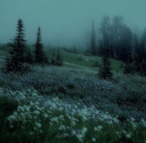 Abandoned Places In The World, Liminal Forest, Night Aesthetic Nature, Wallpaper Layout, Fairy Grunge Aesthetic, Dark Naturalism, Dark Forest Aesthetic, Dark Fairycore, Dark Green Aesthetic