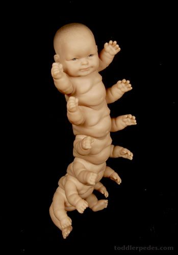 "Toddlerpedes" Bizarre Decor, Mutation Art, Art Sinistre, Art Bizarre, Halloween Memes, Creepy Dolls, Creepy Art, Doll Parts, Weird Art