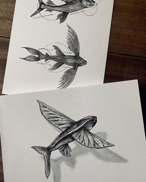 Flying Fish Tattoo Design, Flying Fish Drawing, Flying Fish Tattoo, Fish With Wings, Moving Tattoos, John Tattoo, Pelican Tattoo, Animal Tatoos, Moving On Tattoos