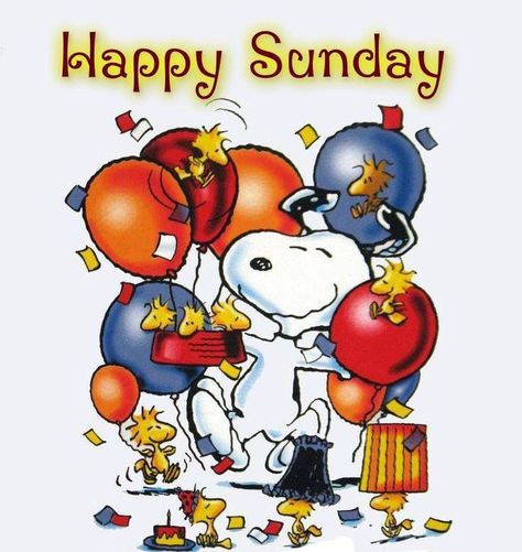 Happy Sunday quotes quote snoopy sunday sunday quotes happy sunday sunday quote Woodstock Snoopy, Snoopy Party, Snoopy Birthday, Party Quotes, Snoopy Images, Peanuts Cartoon, Peanuts Characters, Snoopy Quotes, Snoopy Pictures