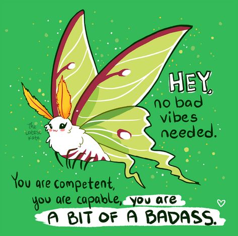 The Latest Kate, Inspirational Animal Quotes, Latest Kate, Its Okay Quotes, Moth Sticker, No Bad Vibes, Cute Animal Quotes, Emotional Support Animal, Bad Vibes