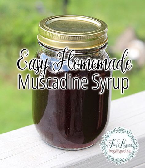 Muscadine Syrup, Grape Syrup Recipe, Muscadine Recipe, Muscadine Jelly, Blueberry Syrup Recipe, Frozen Waffles, Grape Recipes, Homemade Jelly, Canned Food Storage