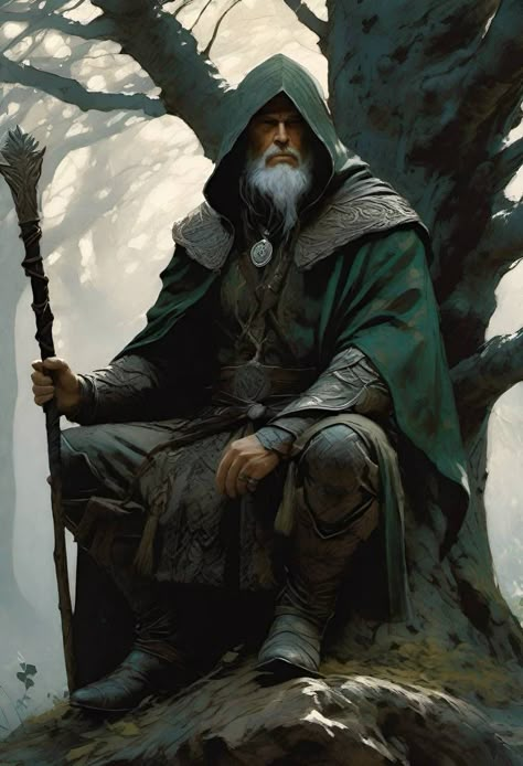 Green Wizard Art, Old Druid Male, Old Wizard Character Design, Dnd Druid Male, Male Druid Character Art, Old Wizard Art, D&d Monk, Dnd Wizard Art, Fantasy Wizard Art