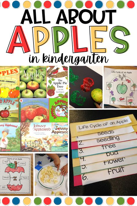 Looking for some fun apple activities you can do when learning all about apples in your kindergarten classroom? In this post, I share my must-do kindergarten apple activities from the apple life cycle, and labeling an apple to making applesauce with my students! Kindergarten Apple Activities, Books About Apples, Apples Unit Kindergarten, Apple Theme Kindergarten, Apple Activities Kindergarten, Apple Theme Classroom, Making Applesauce, Apple Theme Activities, Preschool Apple Activities