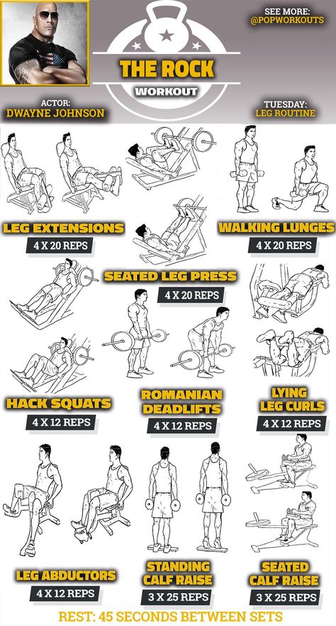 Inner Leg Workout, Rock Workout, The Rock Workout, Leg Routine, Leg Workouts Gym, Fitness Studio Training, Workout Man, Leg Workout Routine, Lifetime Fitness