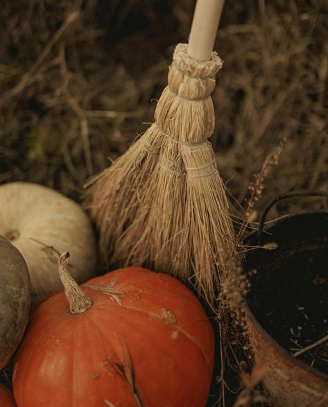 Harvest Aesthetic, Harvest Farm, Cottage Witch, Life Is A Gift, Lovely Smile, Cottage In The Woods, Look At The Sky, Season Of The Witch, Dry Leaf