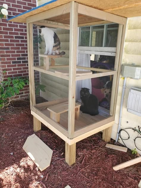 Window Catio Ideas For Cats Outdoor, Simple Catio Plans, Cat Room Indoor, Cat Rooms Indoor, Indoor Cat Room Ideas, Window Catio, Cat Room Ideas, Cat Room Diy, Cat Rooms