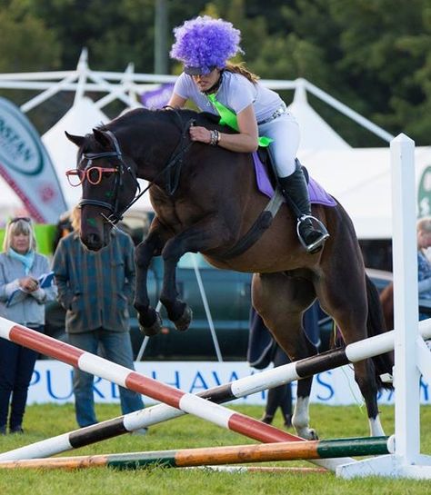 Amanda Wilson and Nikau KH competing at Horse of the Year (Kaimanawa Stallion Makeover Challenge) Kaimanawa Horses, Horses Jumping, Amanda Wilson, Wilson Sisters, Therapy Equipment, Black Horses, Horse Diy, Equestrian Riding, Miniature Horse