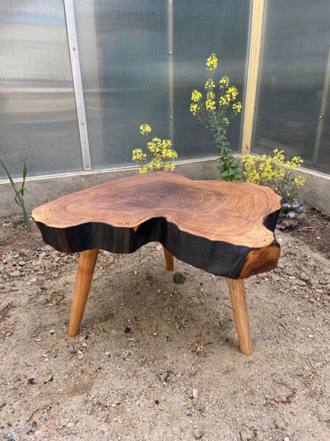 Diy Wooden Coffee Table, Wood Slice Coffee Table, Tree Trunk Coffee Table, Rustic Bedroom Sets, Root Table, Wood Resin Table, Natural Wood Furniture, Wood Table Design, Elegant Console Table