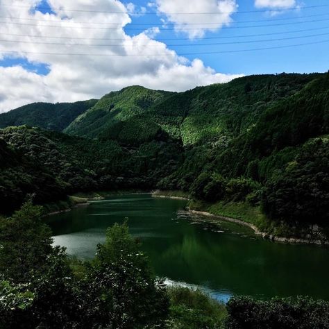 Tea Harvesting, Forested Mountains, Indigo Dyeing, Cedar Forest, Tokushima, Tiny Village, Forest Mountain, Pole Star, The Village