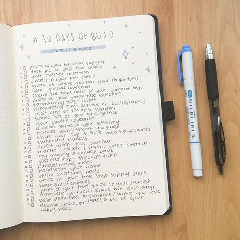 Bujo Challenge 30 Day, Bullet Journal Challenge, 2024 Bujo, Journals Ideas, Journal Challenge, Bujo Ideas, Cool Journals, Bullet Journal Writing, Journal Inspo