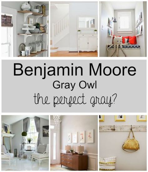 Benjamin Moore Gray Owl - the perfect gray for every room in your house! Paint Colors Gray, Gray Owl Paint, Benjamin Moore Grey Owl, Perfect Grey Paint, Repose Gray Sherwin Williams, Benjamin Moore Gray, Interior Paint Colors Schemes, Grey Owl, Repose Gray