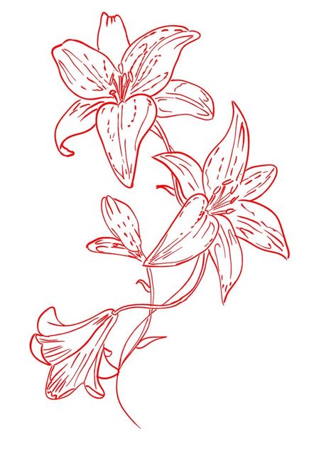 Tattoos Of Lily Flowers, Lilies Flower Tattoo, Lily Tattoo Design Color, Wrap Around Shoulder Tattoos For Women, Lilies Flowers Tattoos, Flower Tattoos Lily, Lillie Tattoo, Lilies Tattoo, Lily Flower Tattoo