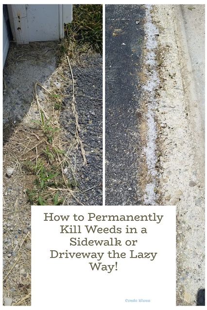 Ground Clear Diy, Kill Weeds In Sidewalk Cracks, Minnesota Flowers, Kill Weeds Naturally, Barn Dominium, Killing Weeds, Kill Weeds, Stone Driveway, Large Driveway