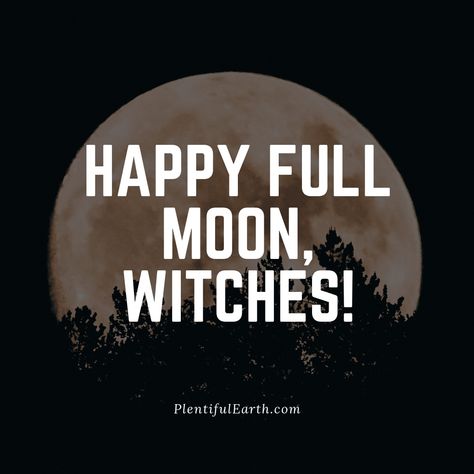 Happy Full Super Virgo Snow Moon, Witches! 🌕 What are your plans tonight? ♍  Let us help! Today's POWERFUL and RARE vibes consist of: ➡️ Focusing on solidifying the Future. 🗒️ Organizing your life path. 💛 Helping others in need. 🔥 Transforming ideas into tangible action. ⭐ Healing digestive issues. 👪🏽 Getting closer to your family. 💖 Detoxing your body. 💞 Minimizing external judgment.  ⚡ But: real talk. How are YOU feeling during this moon? #PlentifulEarth Tonight Quotes, Pagan Quotes, Detoxing Your Body, Full Moon Tonight, Snow Moon, Organizing Your Life, Full Blue, Digestive Issues, Moon Witch