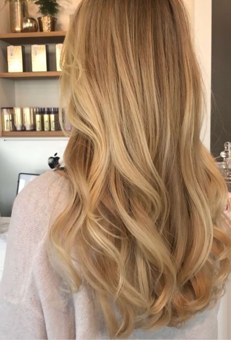 Celeb Haircuts, Warm Golden Blonde Hair, Gold Blonde Hair, Women's Haircut, Warm Blonde Hair, Hair Colour Ideas, Summer Blonde Hair, Honey Hair Color, Fancy Stuff